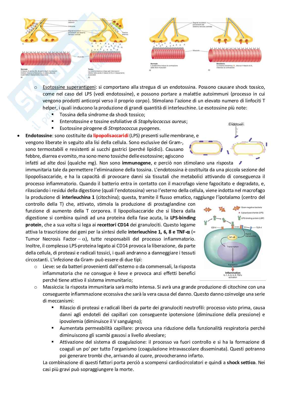 Microbiologia Pag. 21