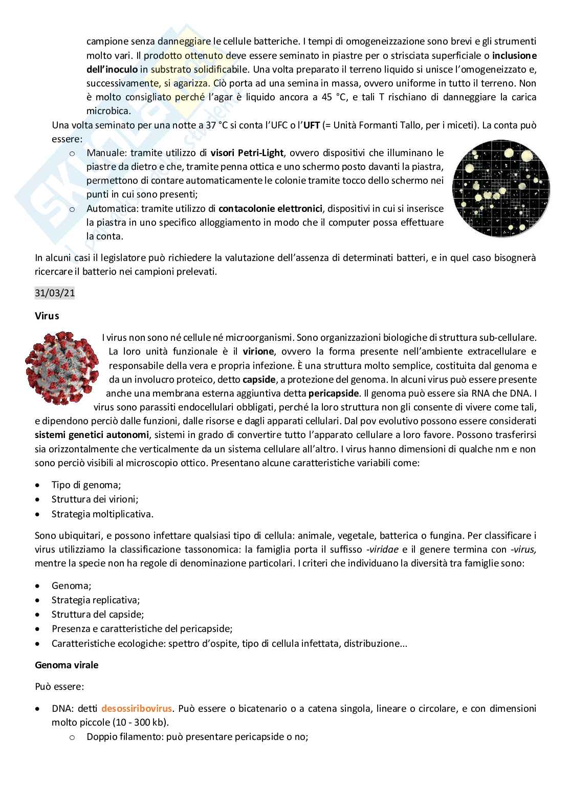 Microbiologia Pag. 26