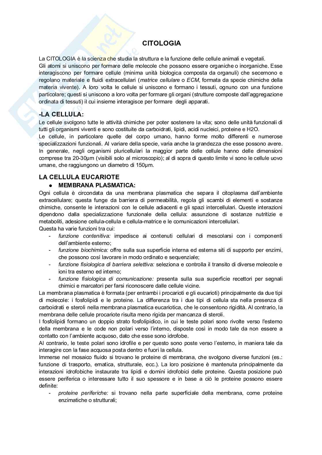 Appunti di Istologia per infermieristica Pag. 1