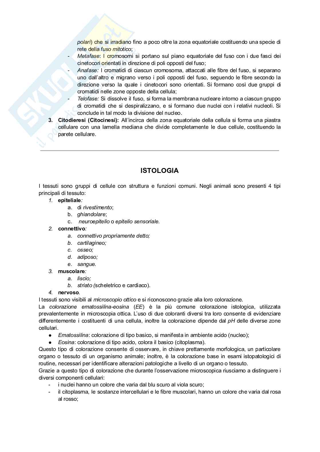 Appunti di Istologia per infermieristica Pag. 6