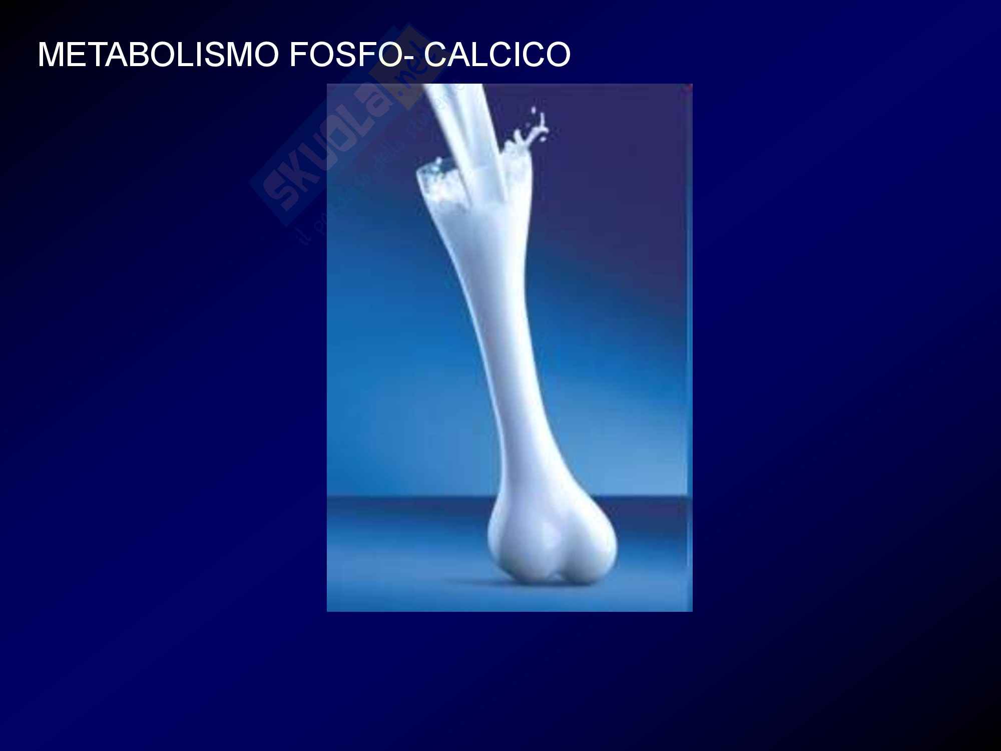 Metabolismo Fosfo-Calcico Pag. 1