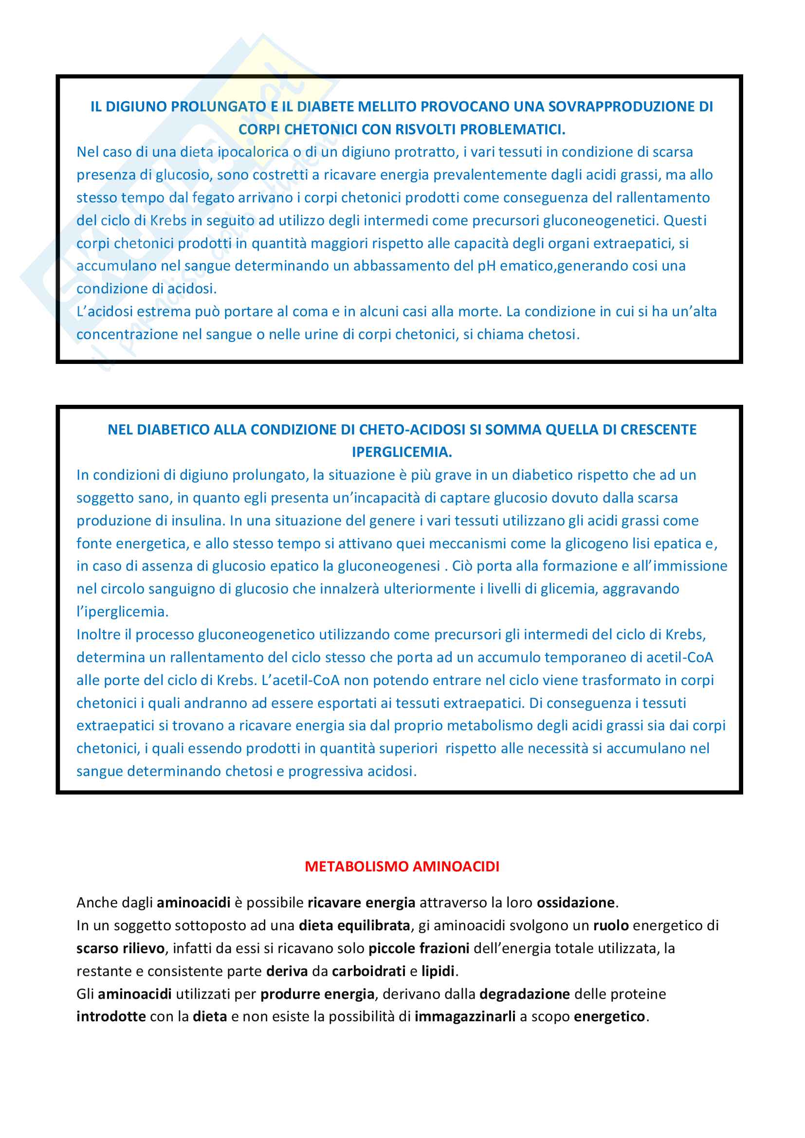 Appunti Biochimica 2 Pag. 26