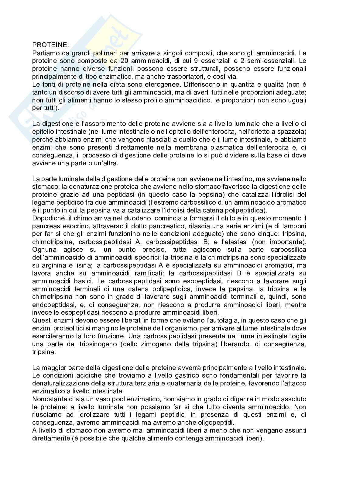 Alimentazione e Nutrizione  Pag. 41