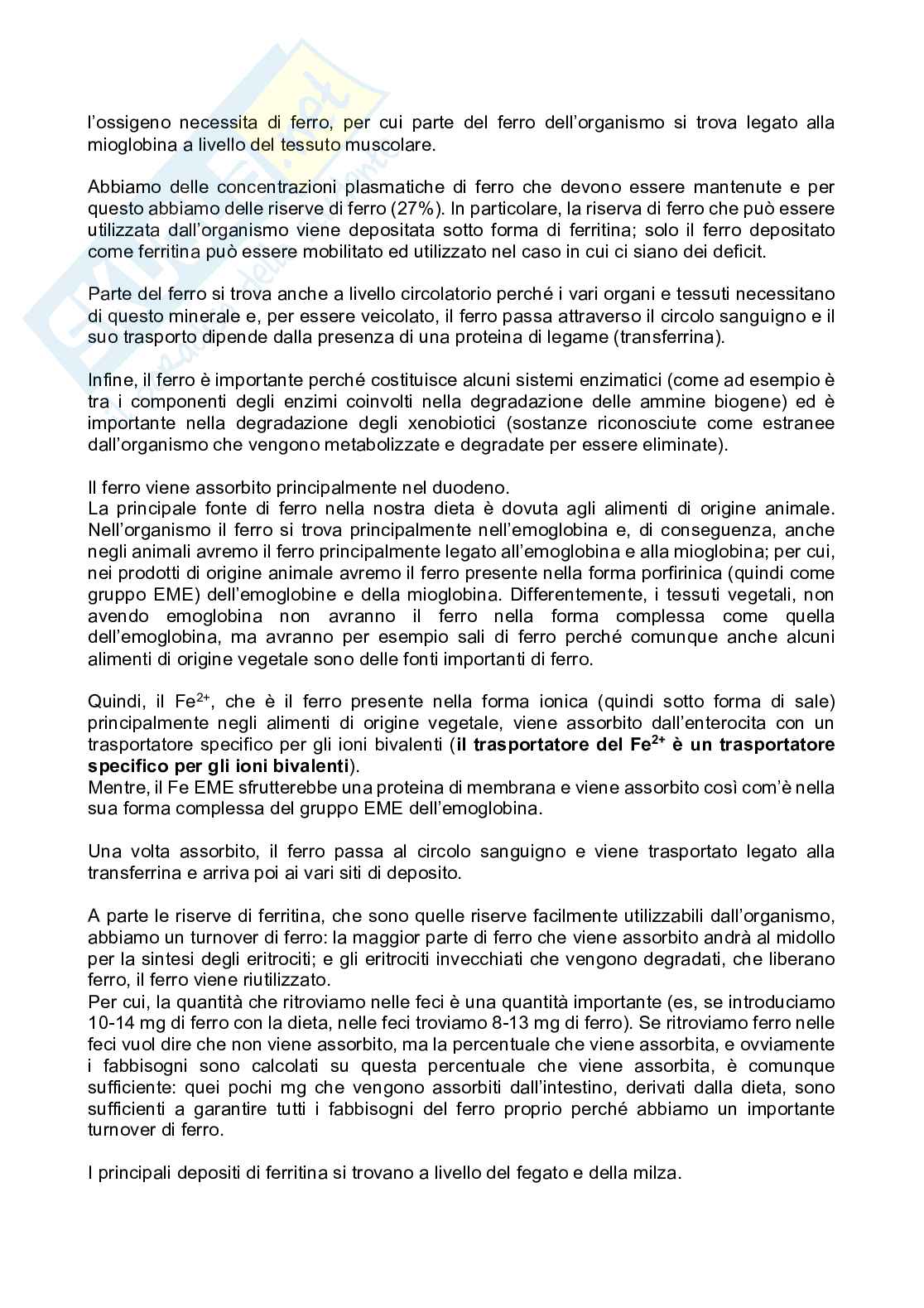 Alimentazione e Nutrizione  Pag. 91