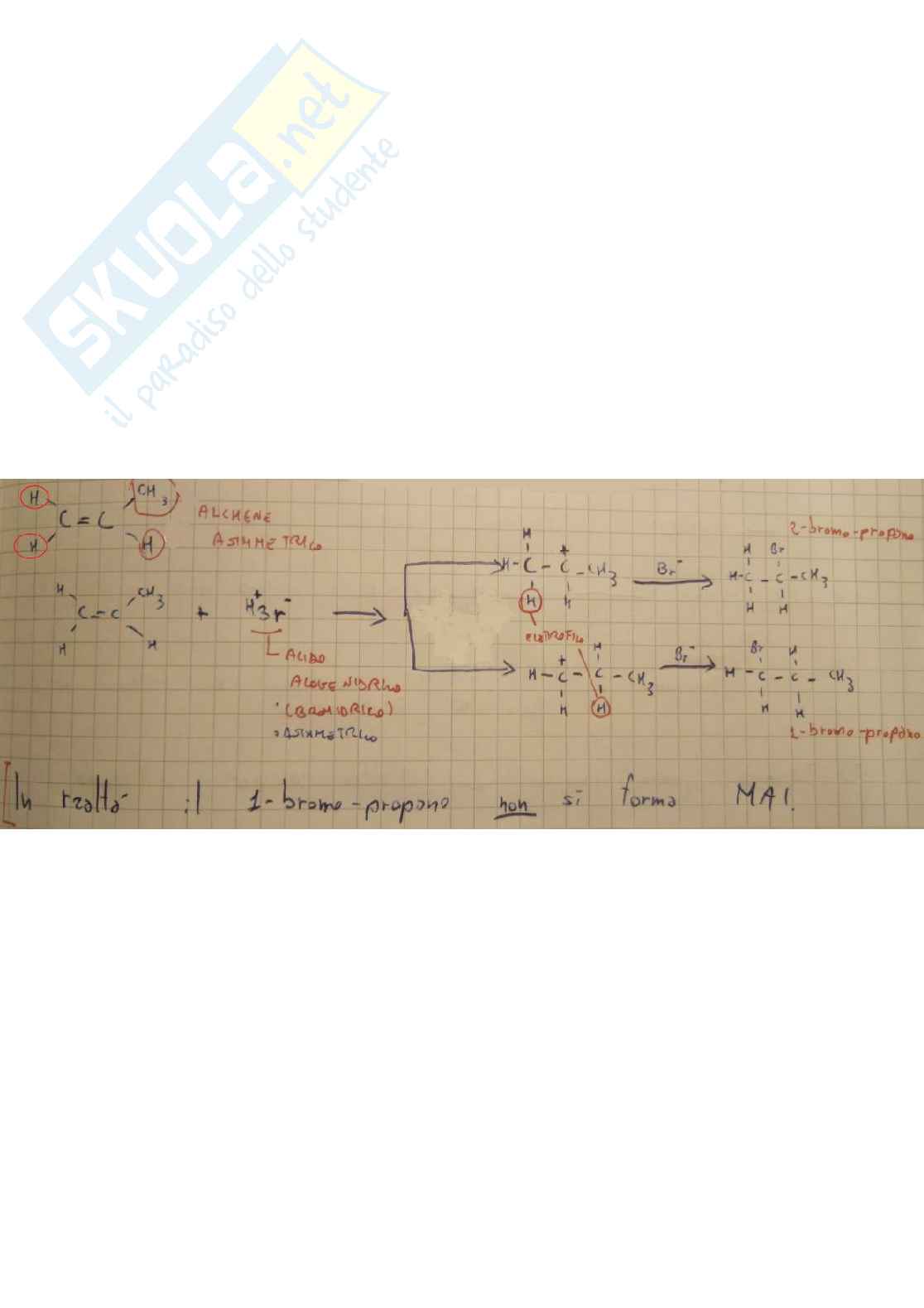 Alcheni - Addizione di acidi alogenidrici Pag. 1