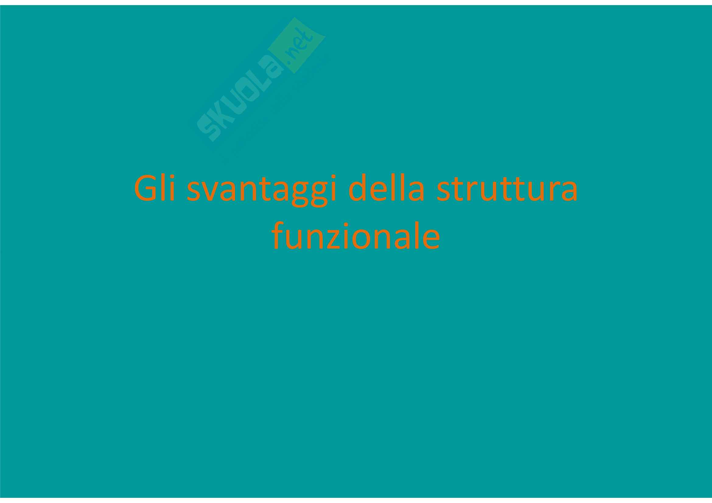 Gli svantaggi della struttura funzionale Pag. 1