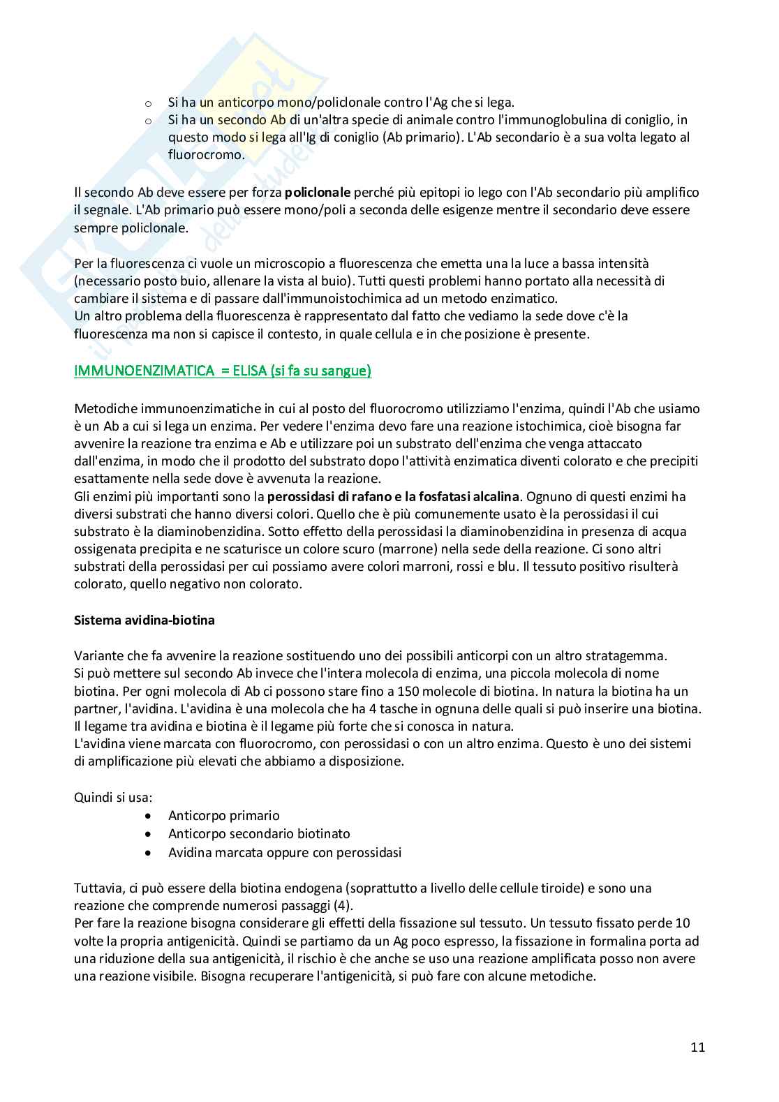 Anatomia Patologica - Appunti completi Pag. 11