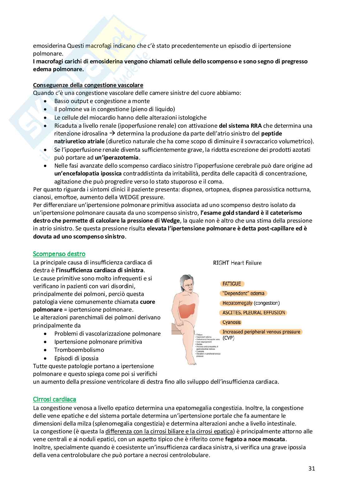 Anatomia Patologica - Appunti completi Pag. 31