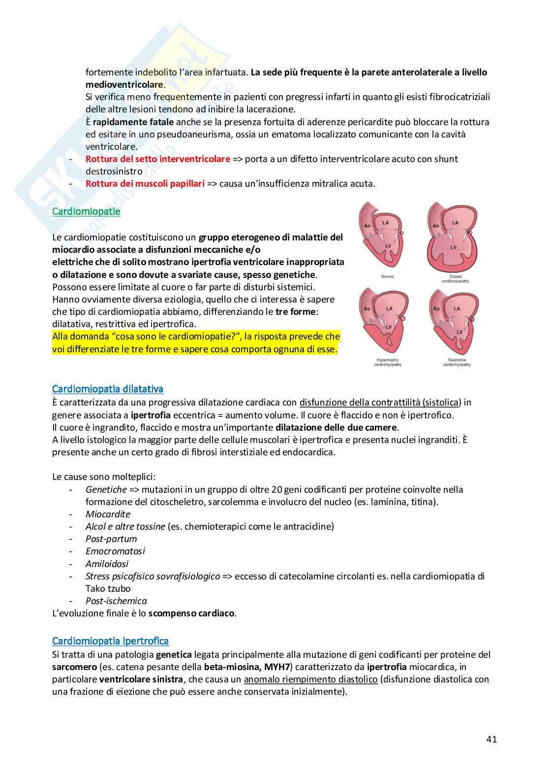 Anatomia Patologica - Appunti completi Pag. 41