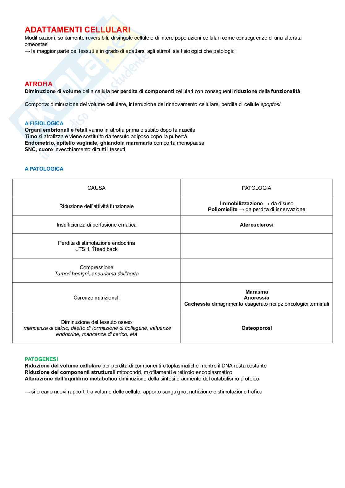 Patologia generale Pag. 2