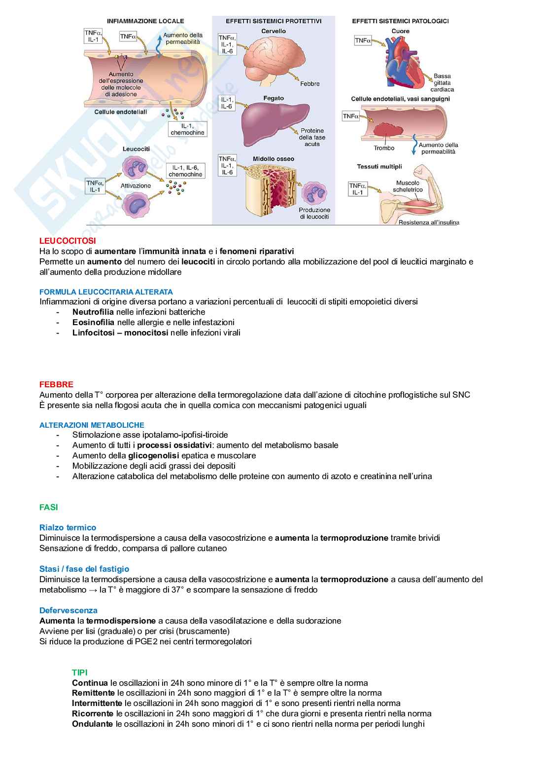 Patologia generale Pag. 21