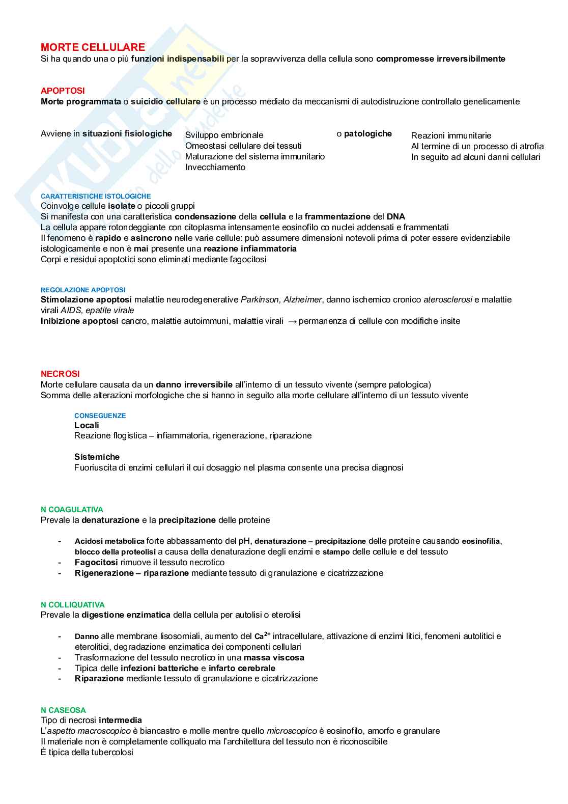 Patologia generale Pag. 6