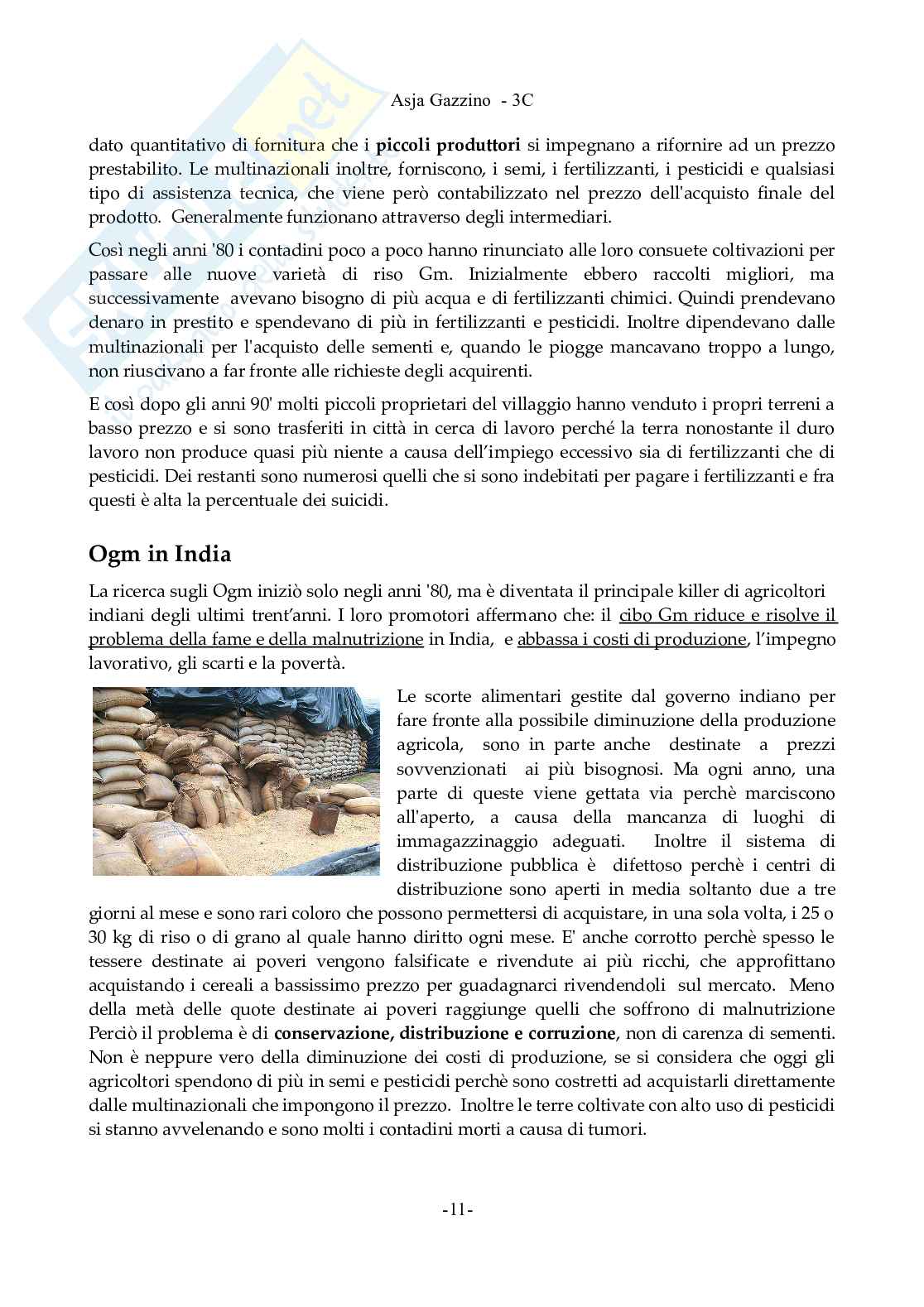 India e società - Tesina Pag. 11