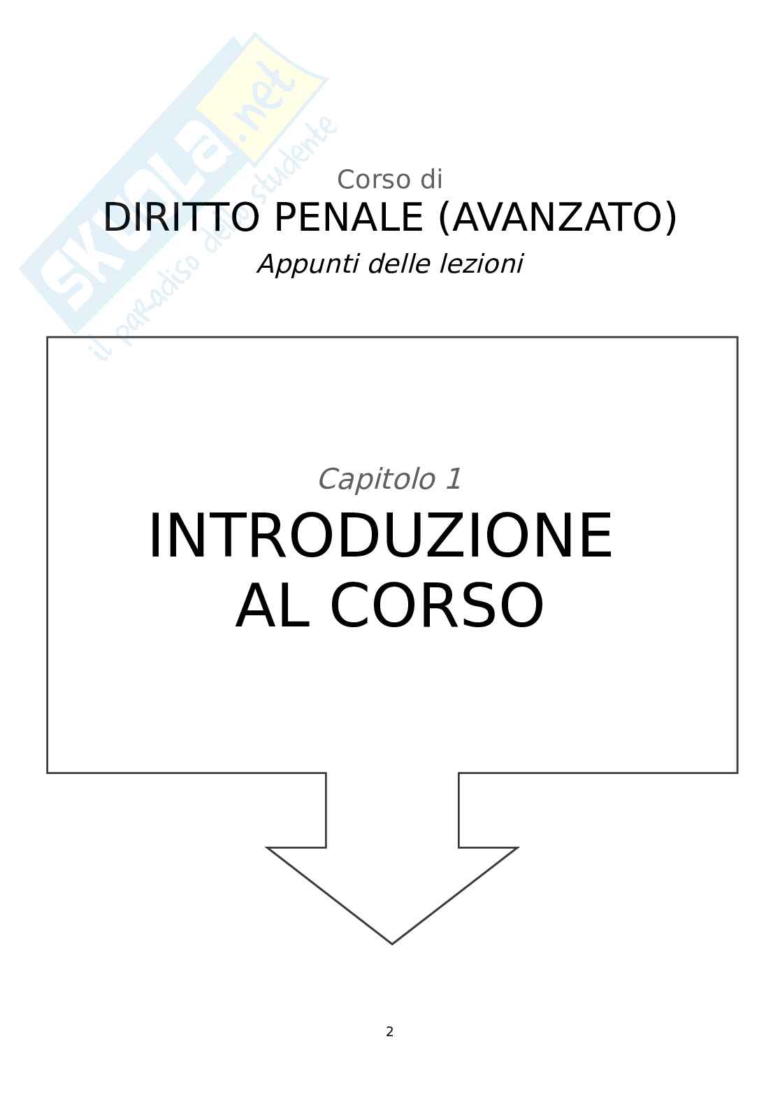 Appunti delle lezioni di Diritto penale avanzato   Pag. 2
