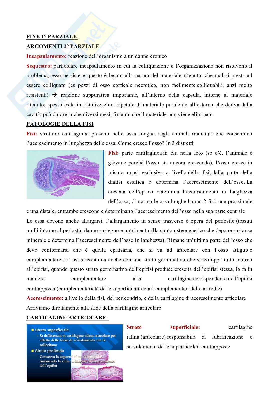 Semeiotica chirurgica veterinaria  Pag. 1