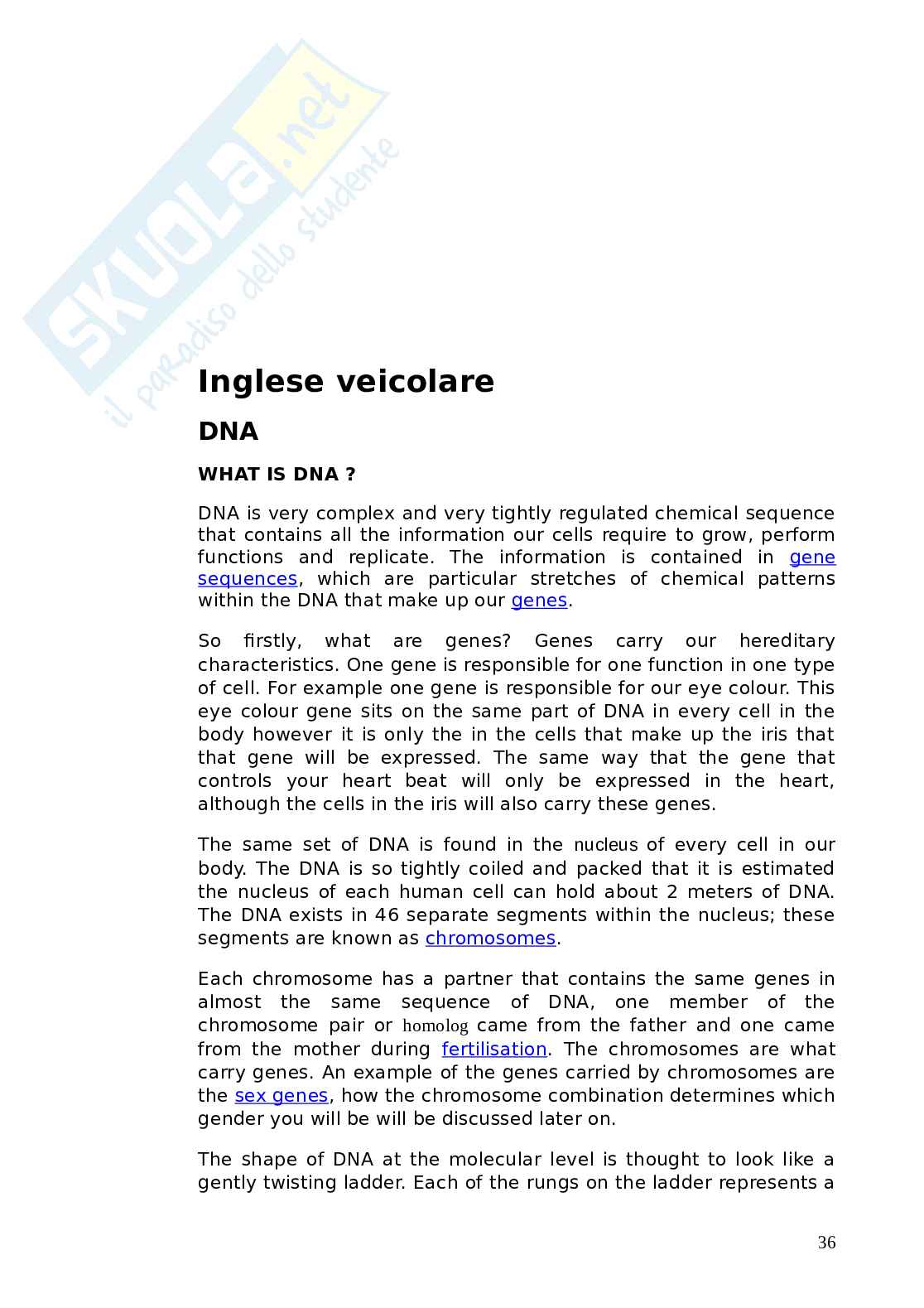 Orgine della Specie - Tesina Pag. 36
