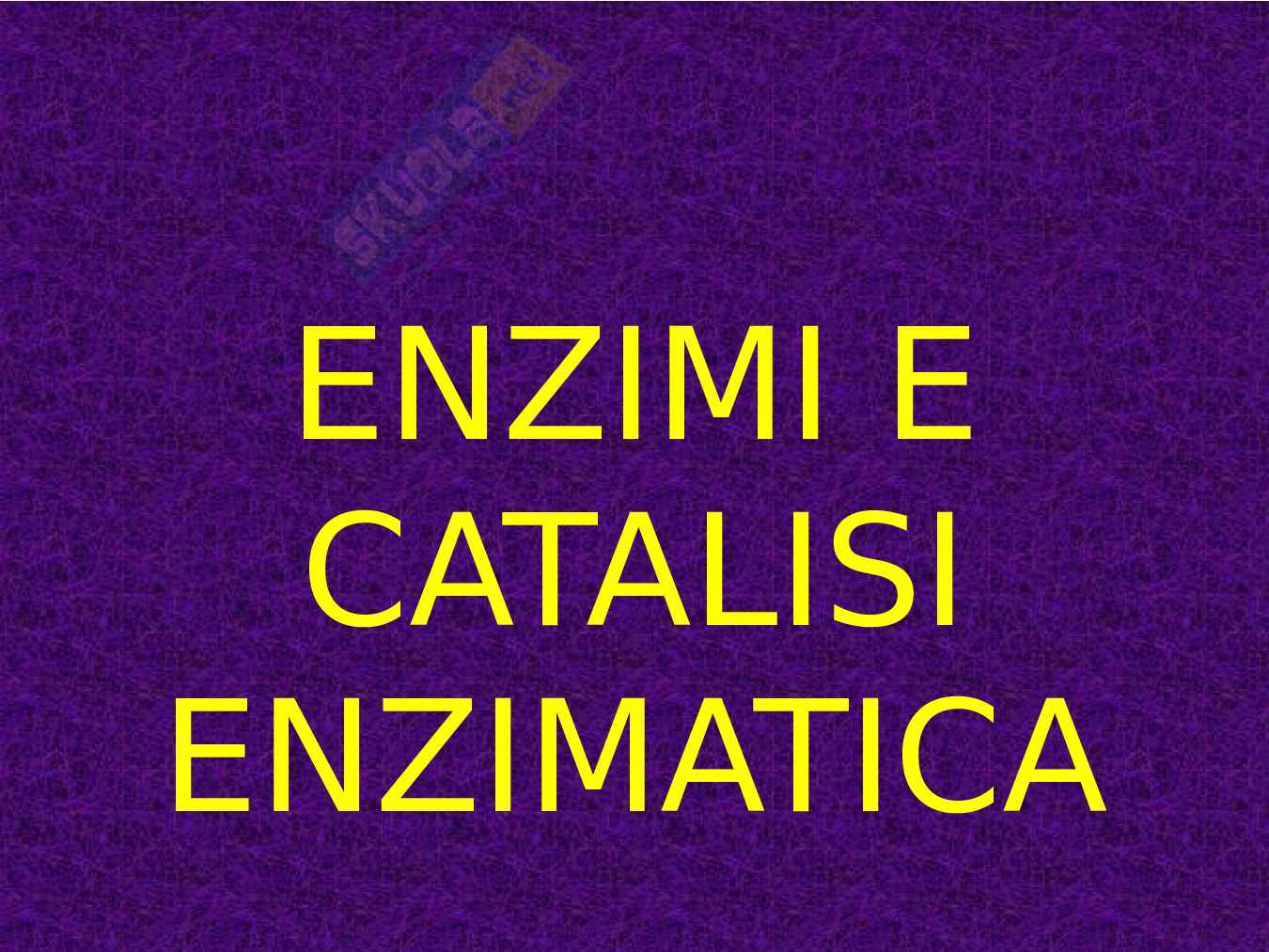 Enzimi e cinetica enzimatica Pag. 1