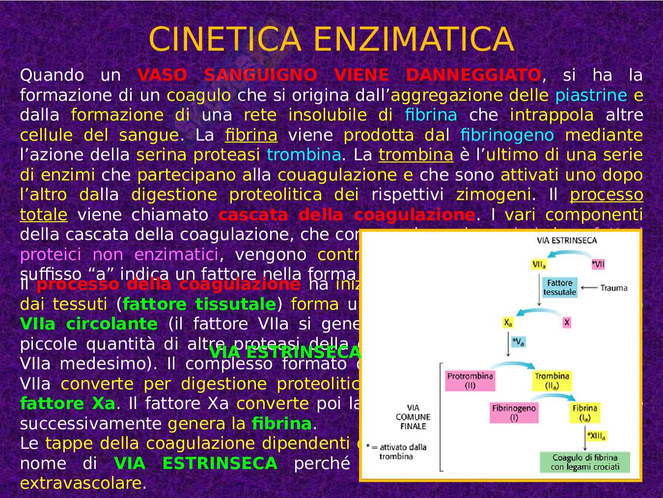 Enzimi e cinetica enzimatica Pag. 106