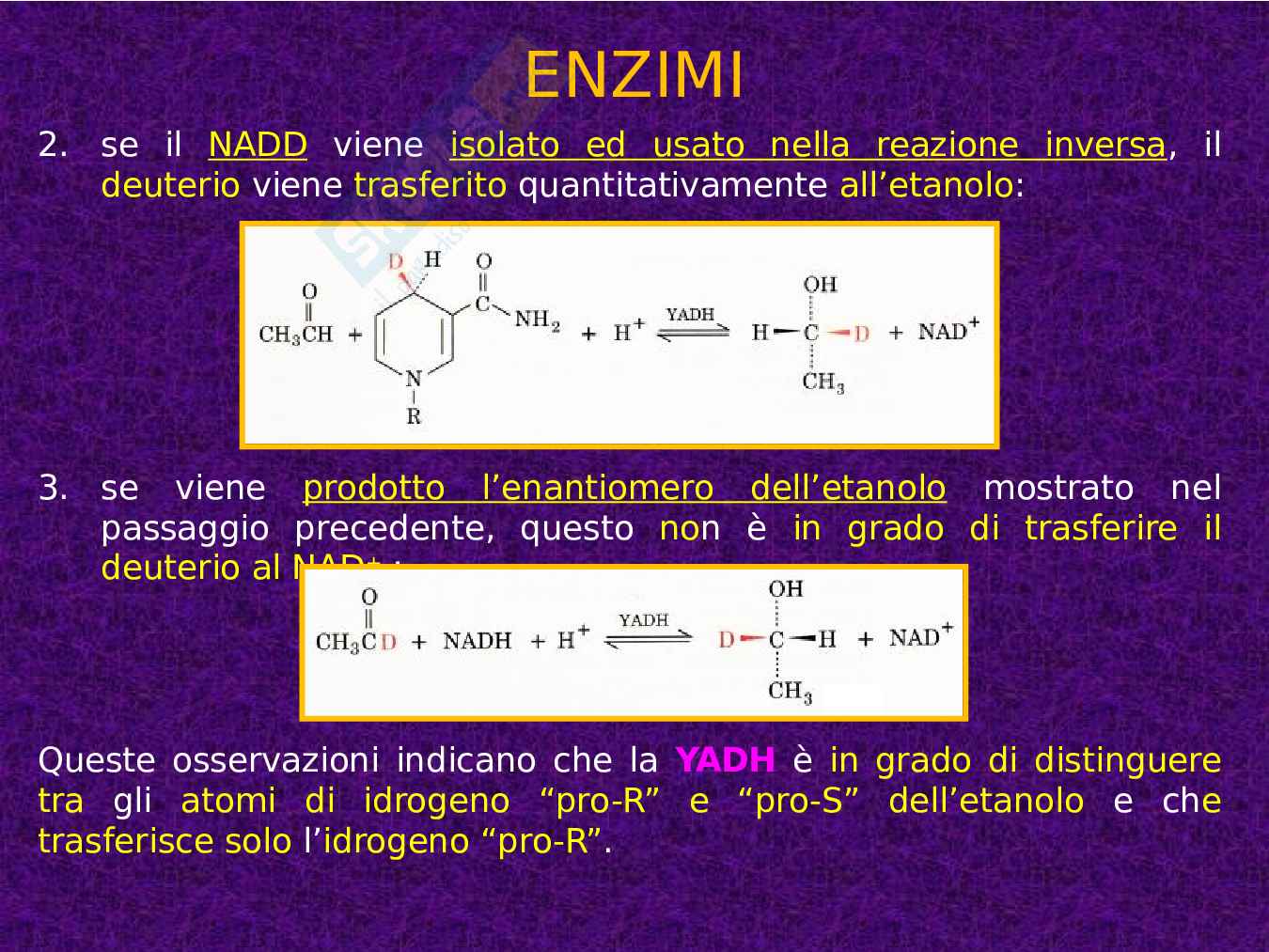 Enzimi e cinetica enzimatica Pag. 11