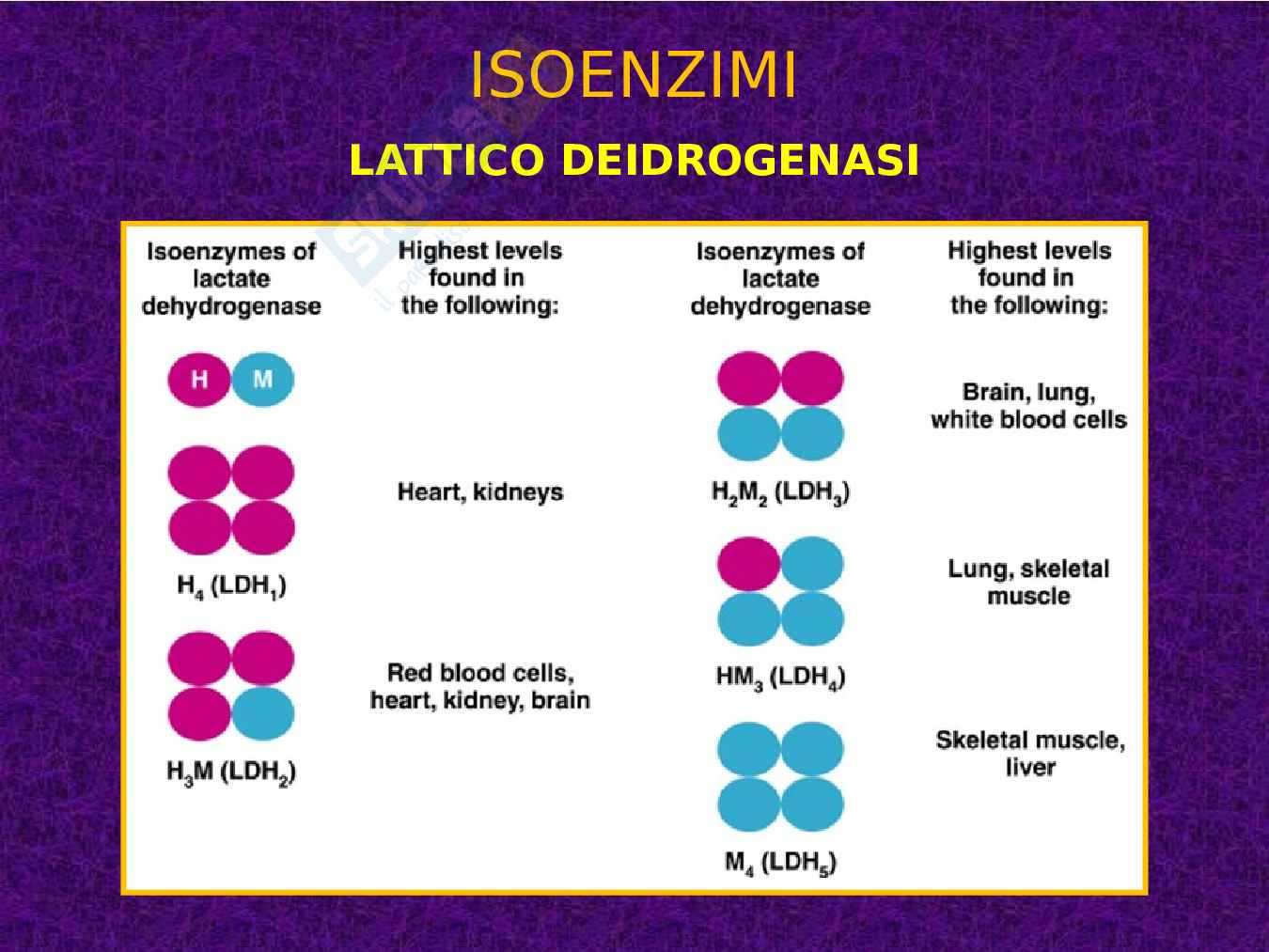 Enzimi e cinetica enzimatica Pag. 116