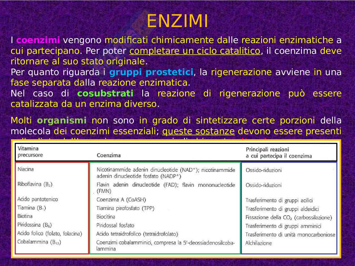 Enzimi e cinetica enzimatica Pag. 16