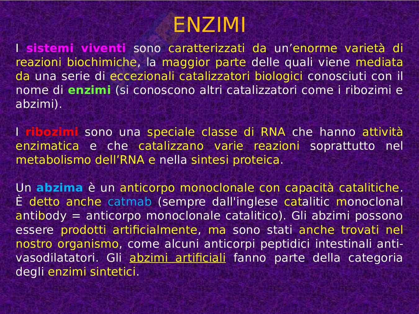 Enzimi e cinetica enzimatica Pag. 2