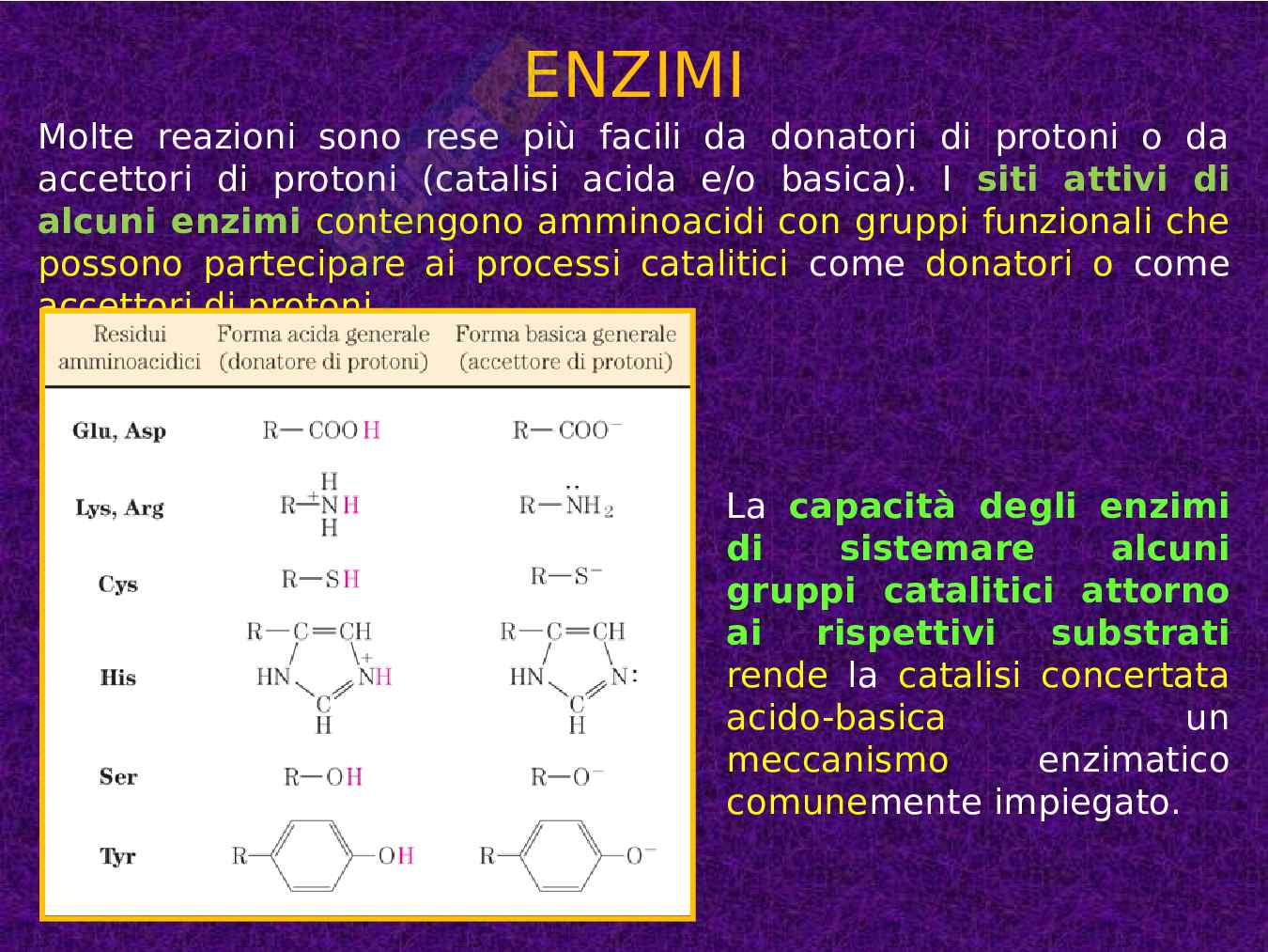 Enzimi e cinetica enzimatica Pag. 26