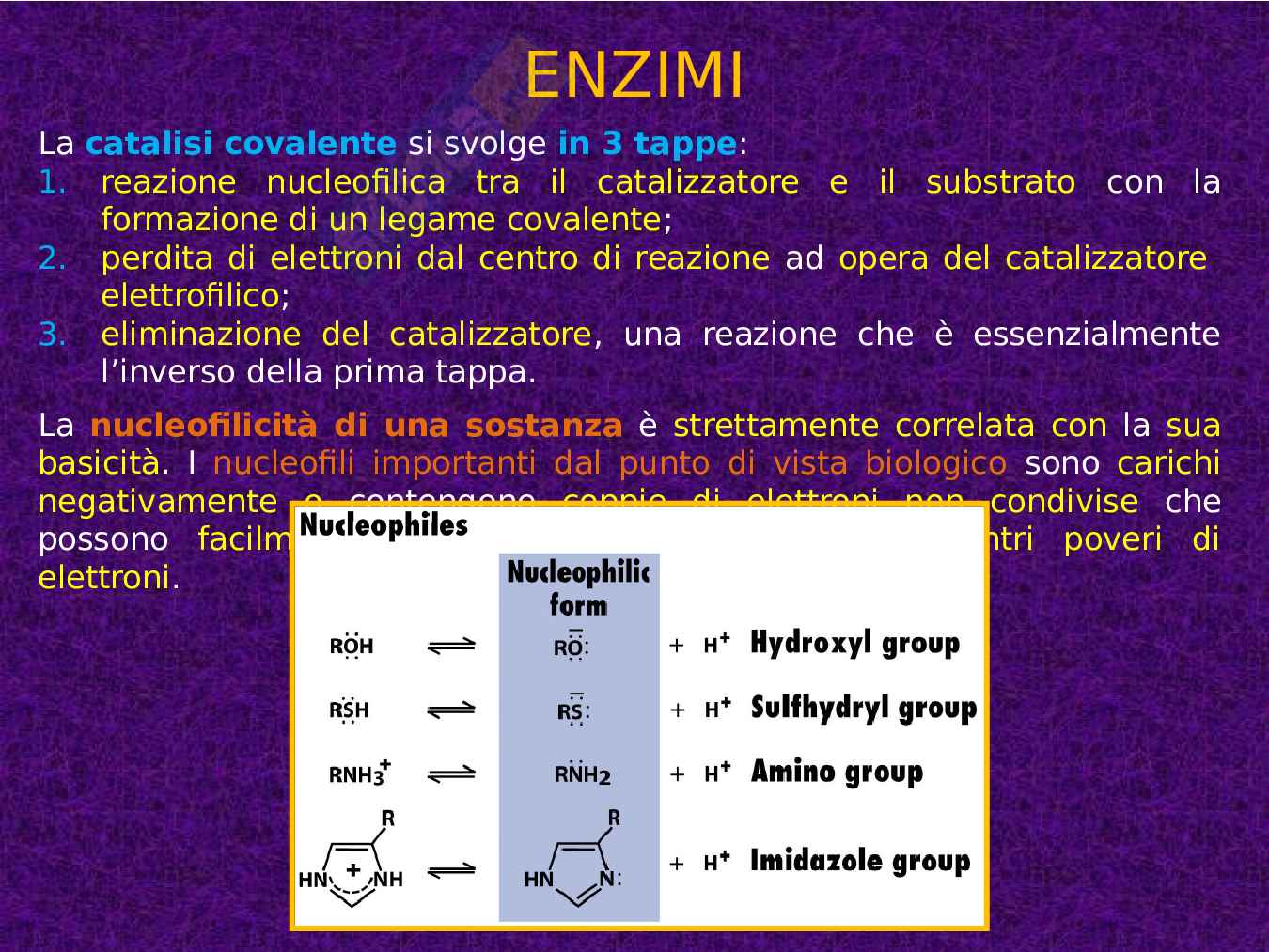 Enzimi e cinetica enzimatica Pag. 31