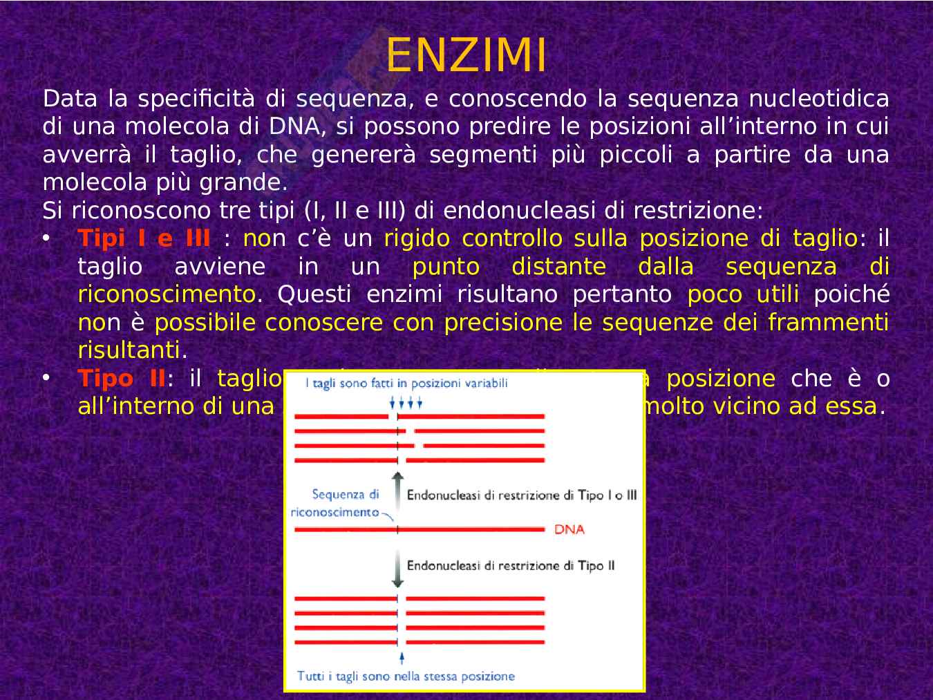 Enzimi e cinetica enzimatica Pag. 41