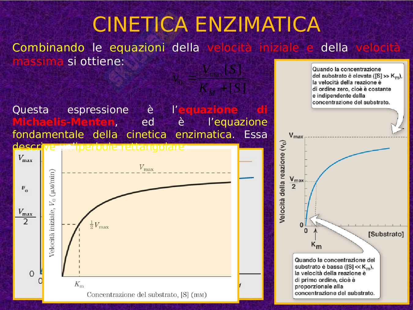 Enzimi e cinetica enzimatica Pag. 56