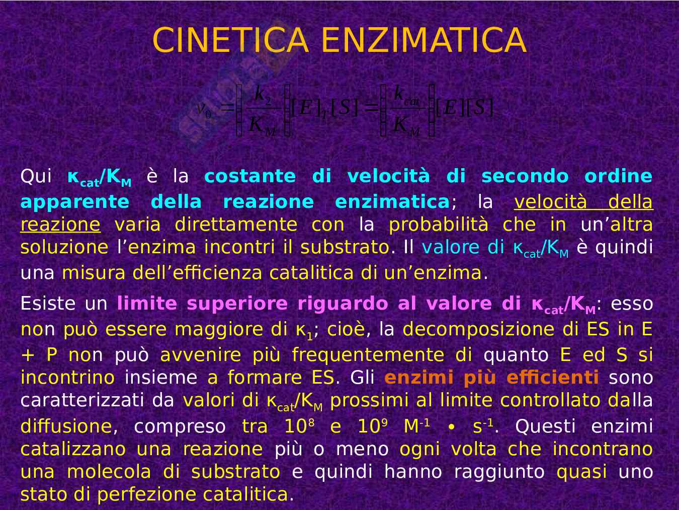 Enzimi e cinetica enzimatica Pag. 61