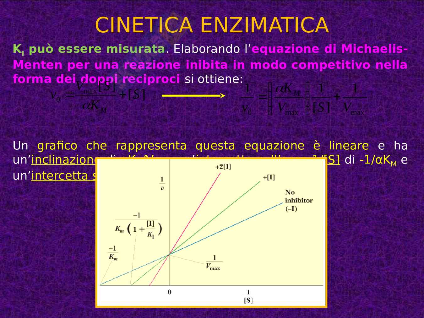 Enzimi e cinetica enzimatica Pag. 71