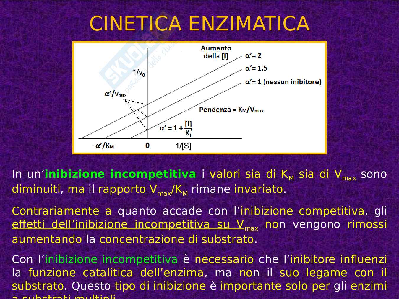 Enzimi e cinetica enzimatica Pag. 76