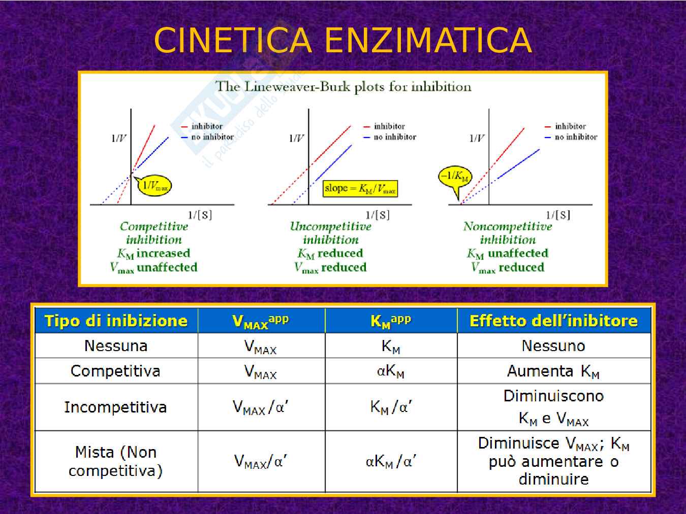 Enzimi e cinetica enzimatica Pag. 81