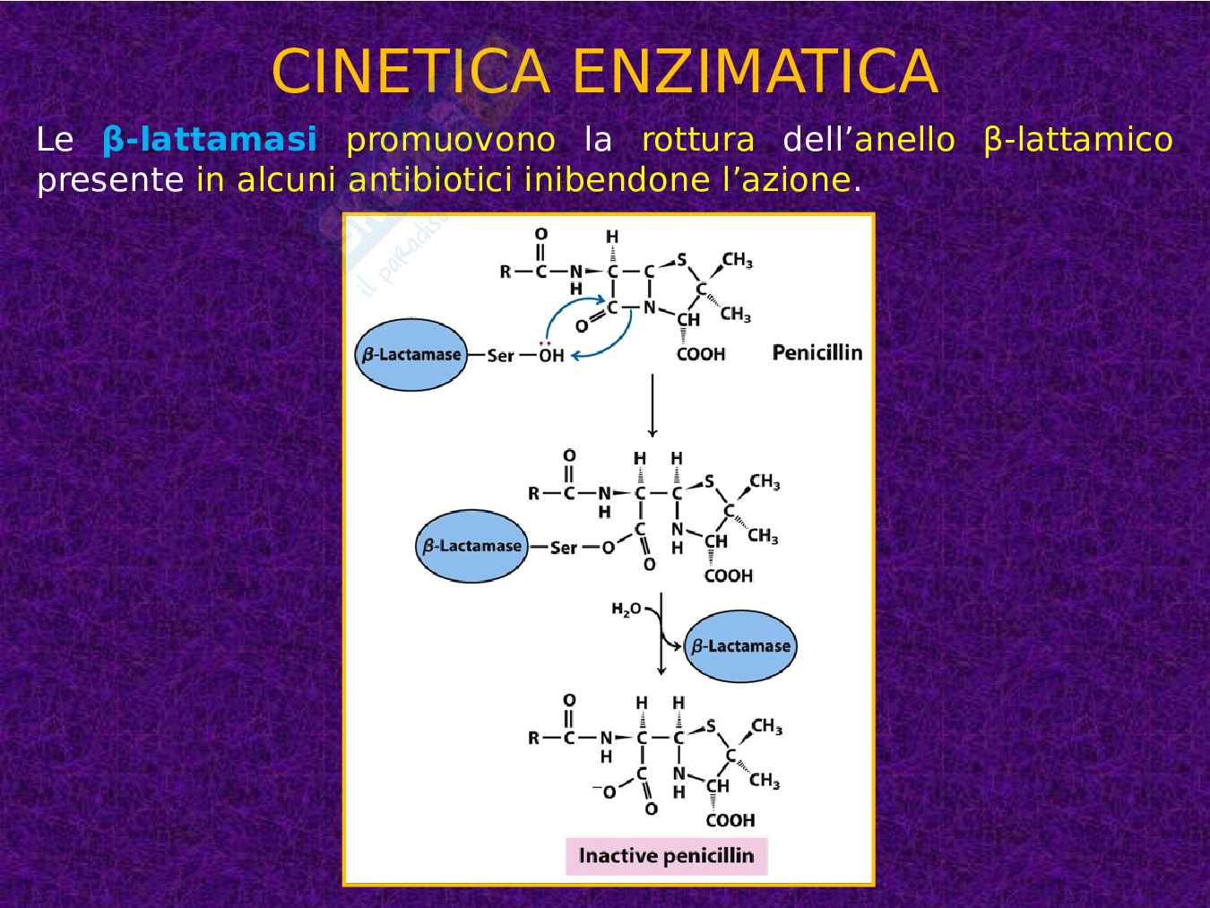 Enzimi e cinetica enzimatica Pag. 86