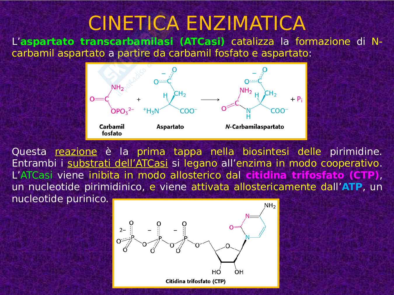 Enzimi e cinetica enzimatica Pag. 96