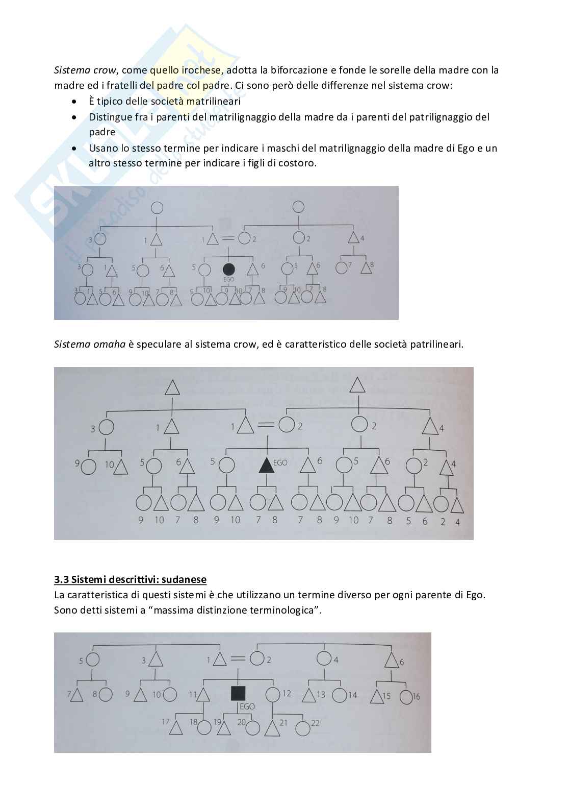 Antropologia - parte 6 Pag. 11