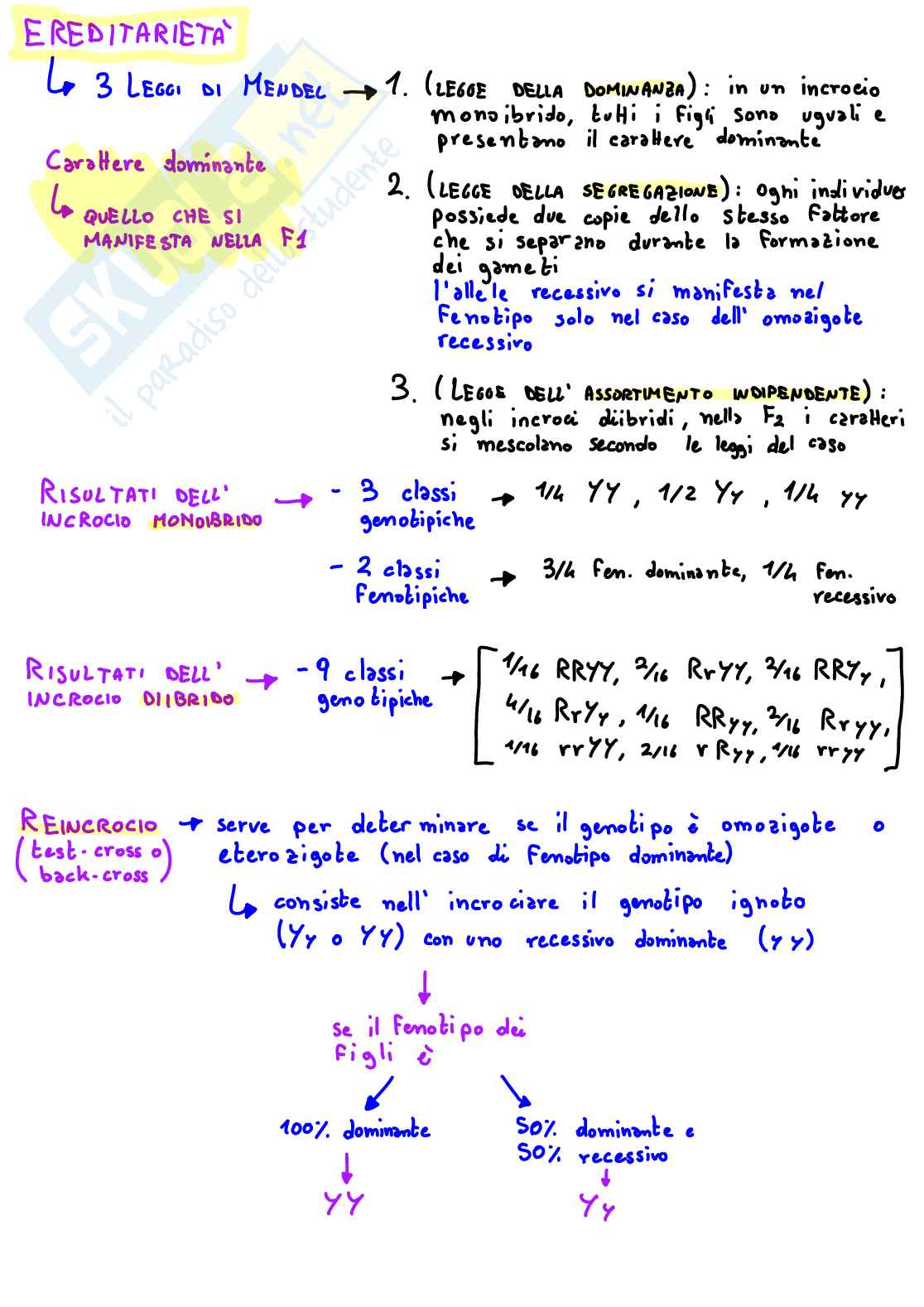 Appunti anatomia (test di medicina): schemi digitali a colori con immagini Pag. 1