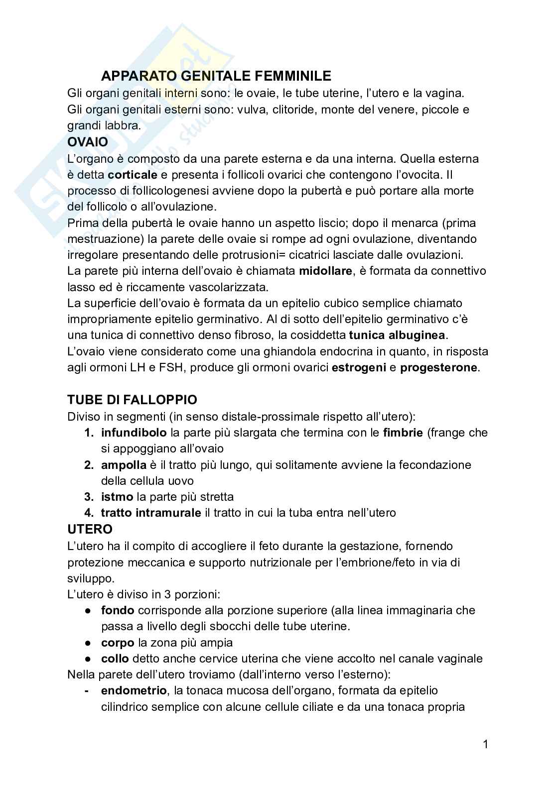 Embriologia Pag. 1