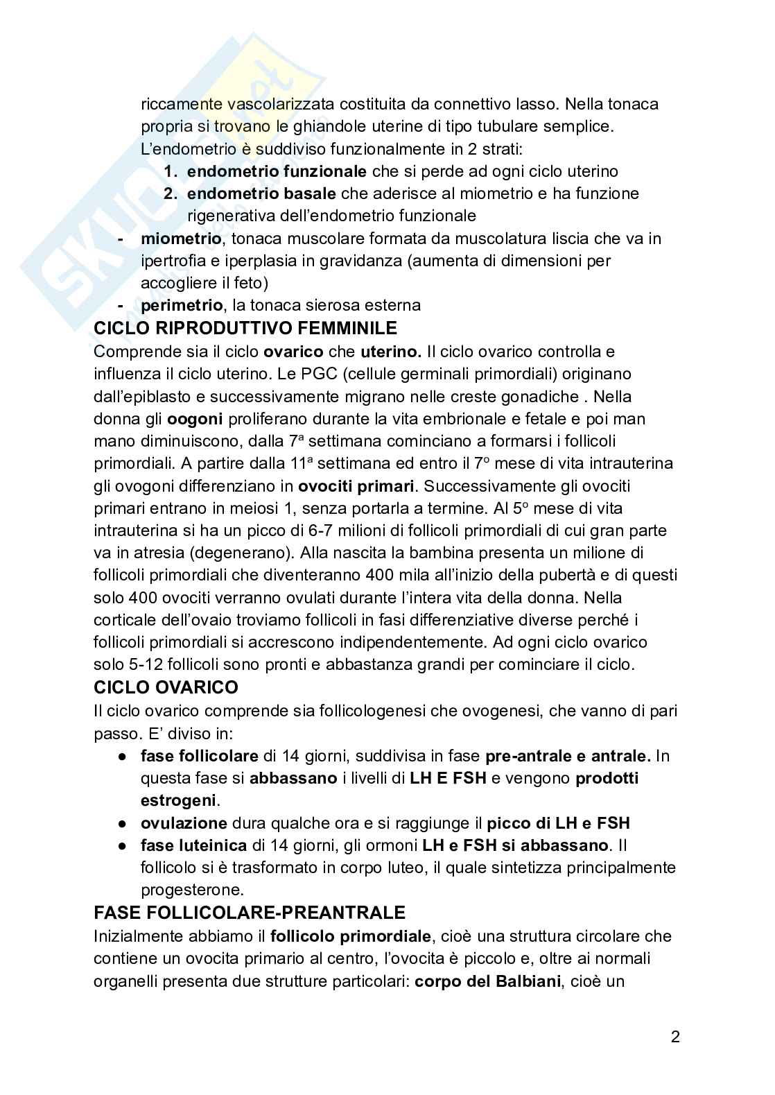 Embriologia Pag. 2