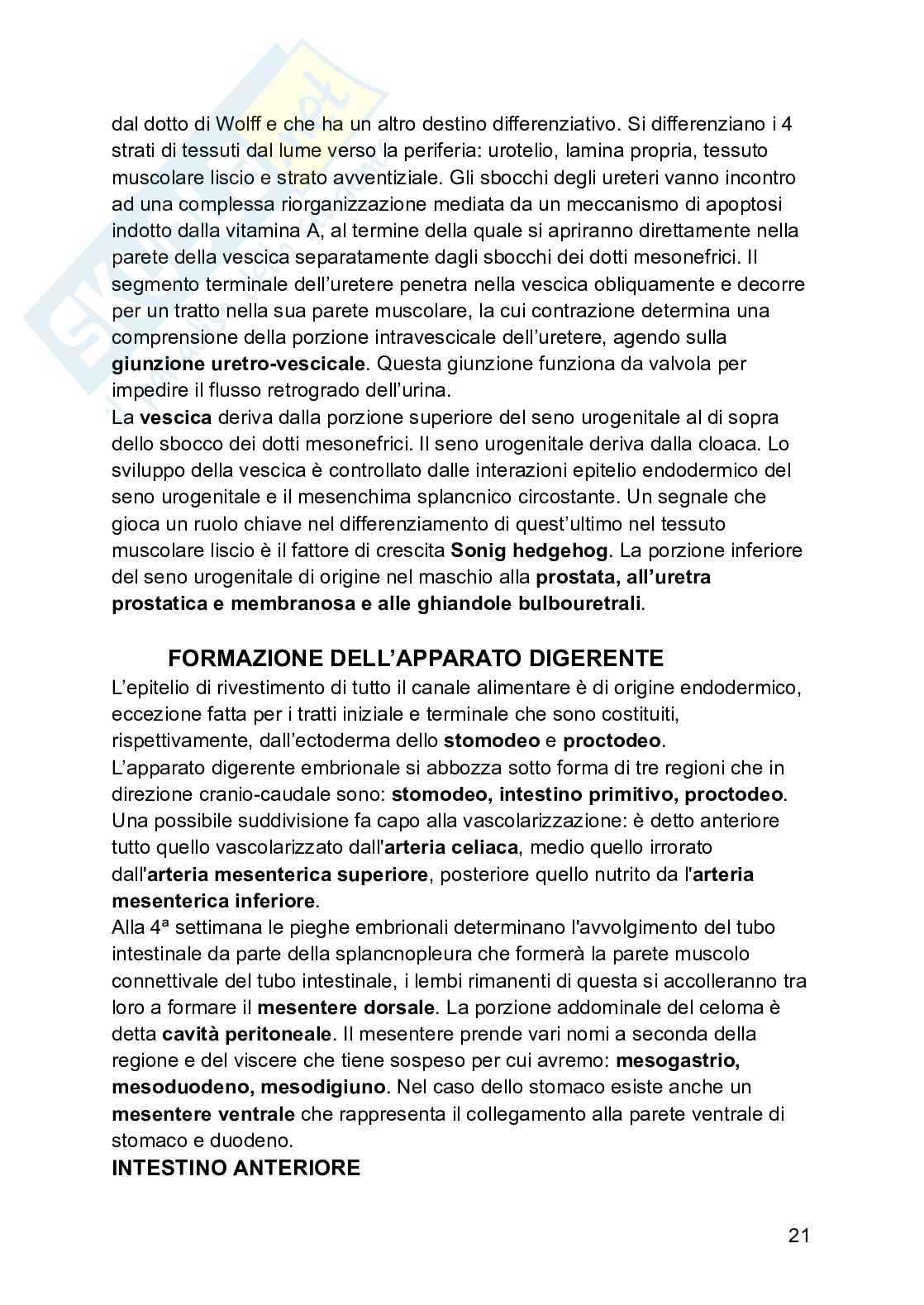 Embriologia Pag. 21