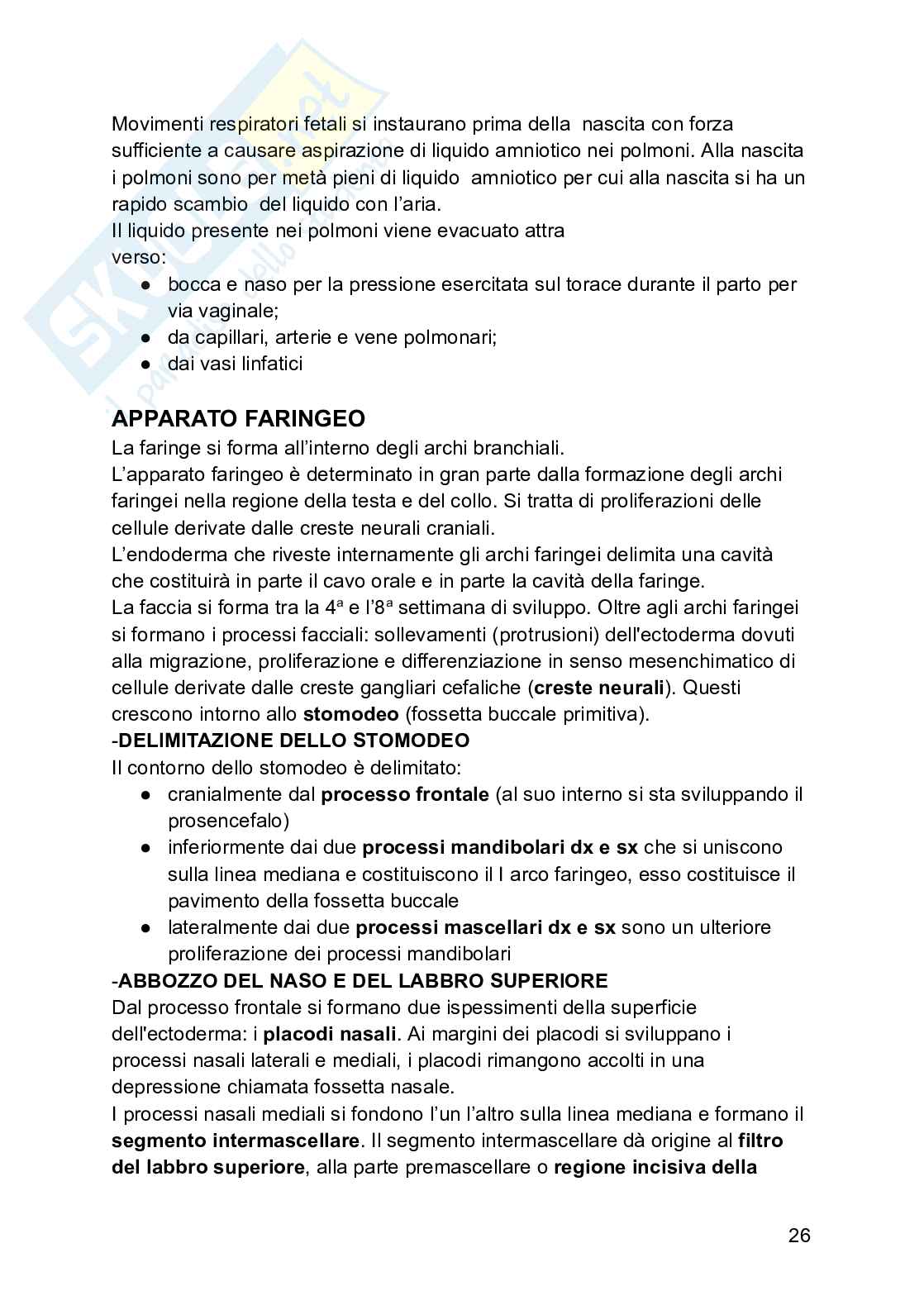 Embriologia Pag. 26