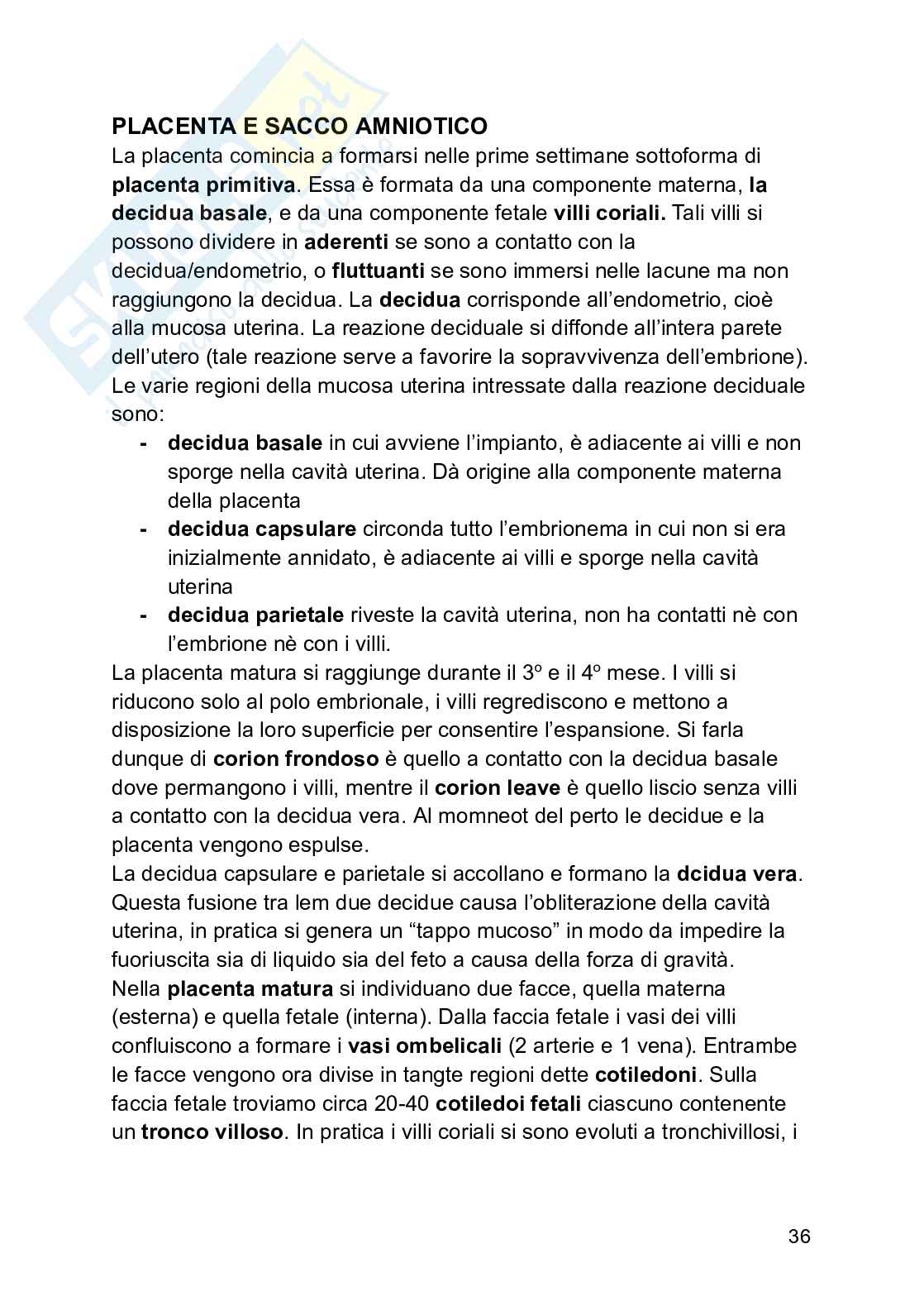 Embriologia Pag. 36