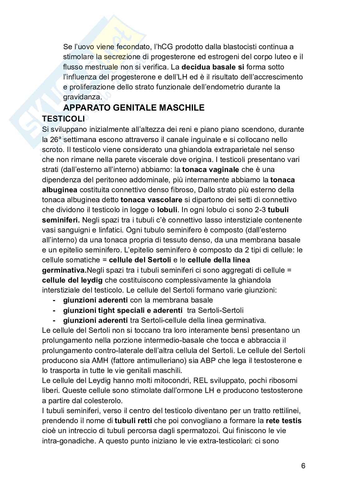 Embriologia Pag. 6