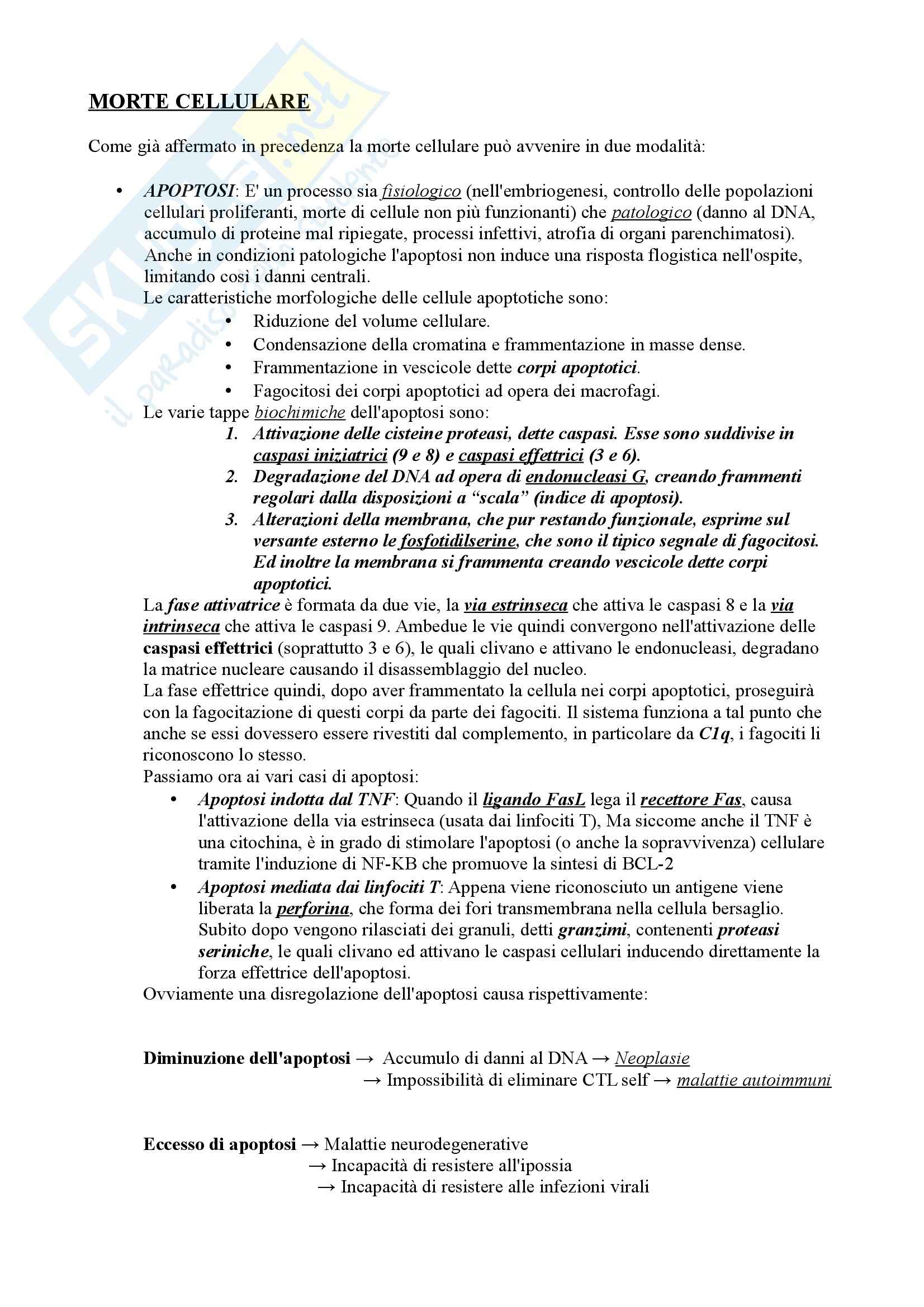 Patologia generale ed immunologia - Appunti Pag. 6
