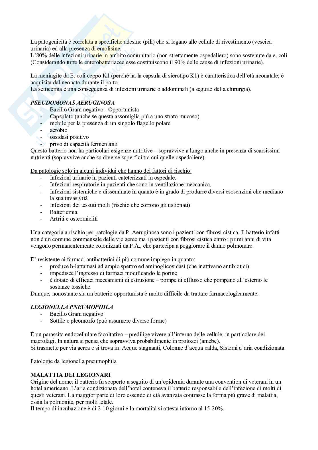 Fisioterapia e professioni sanitarie - Appunti di microbiologia Pag. 51