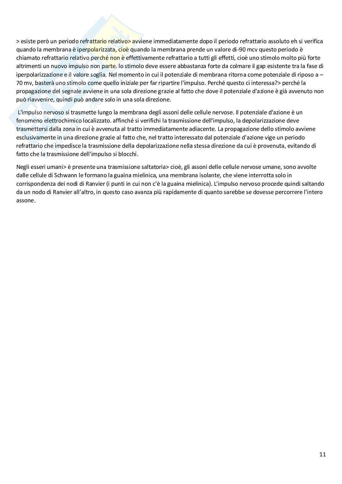 Riassunto esame Anatomia, Prof. Guariglia Paola, libro consigliato Anatomia del sistema nervoso e periferico e Neuroscienze (fisiologia), Cattaneo Pag. 11