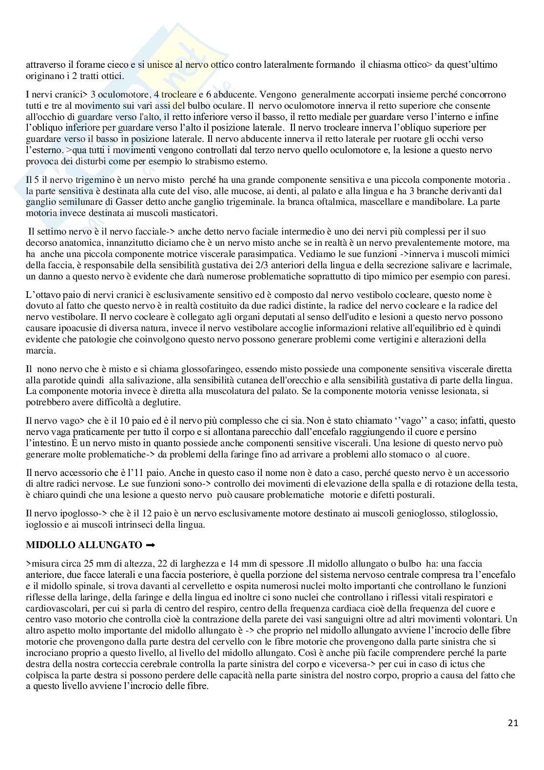 Riassunto esame Anatomia, Prof. Guariglia Paola, libro consigliato Anatomia del sistema nervoso e periferico e Neuroscienze (fisiologia), Cattaneo Pag. 21