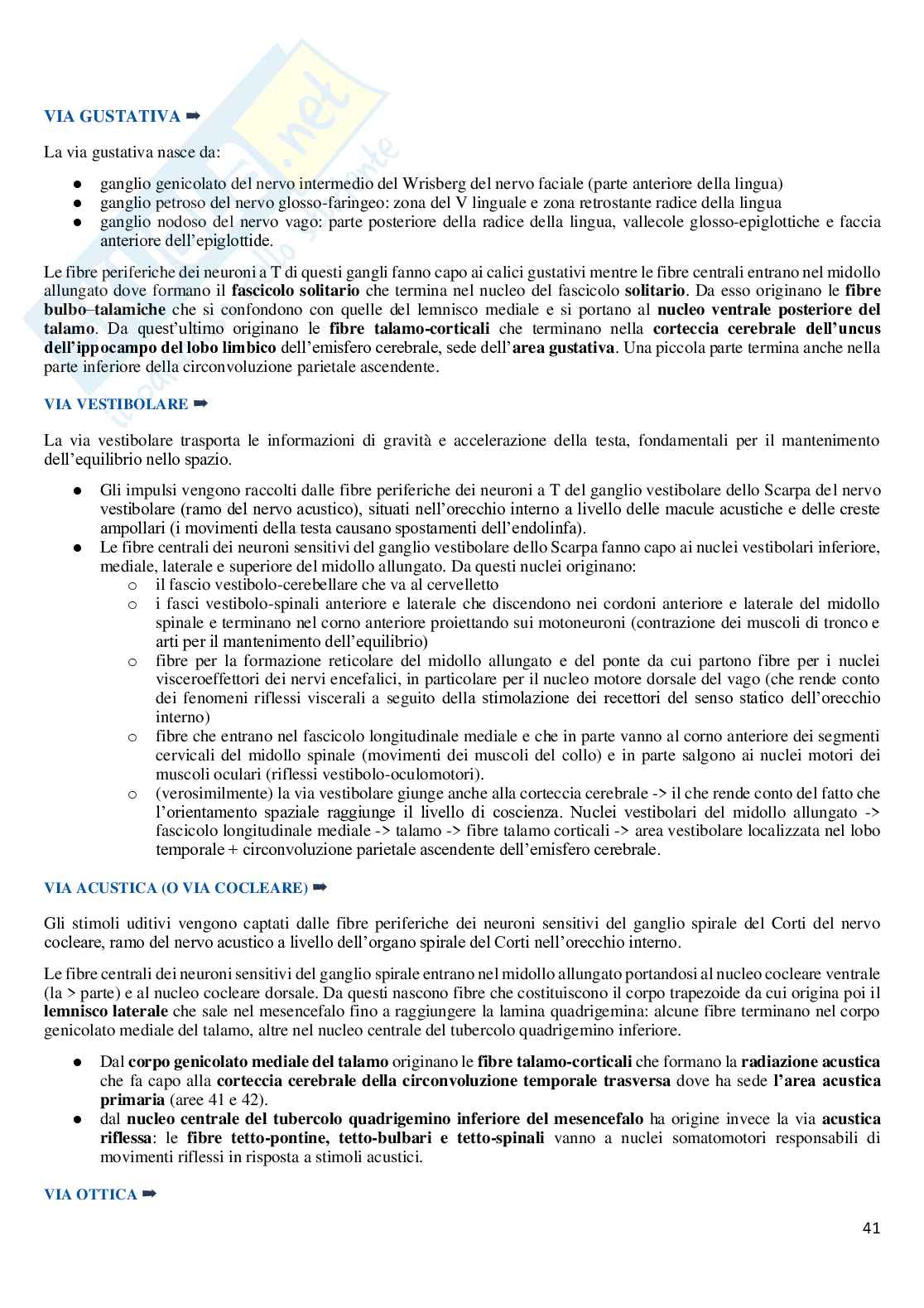 Riassunto esame Anatomia, Prof. Guariglia Paola, libro consigliato Anatomia del sistema nervoso e periferico e Neuroscienze (fisiologia), Cattaneo Pag. 41