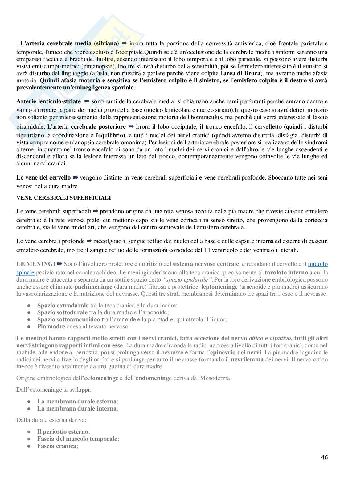Riassunto esame Anatomia, Prof. Guariglia Paola, libro consigliato Anatomia del sistema nervoso e periferico e Neuroscienze (fisiologia), Cattaneo Pag. 46